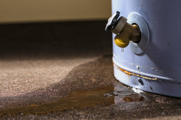 Best Carpet water damage restoration  in Beecher, IL