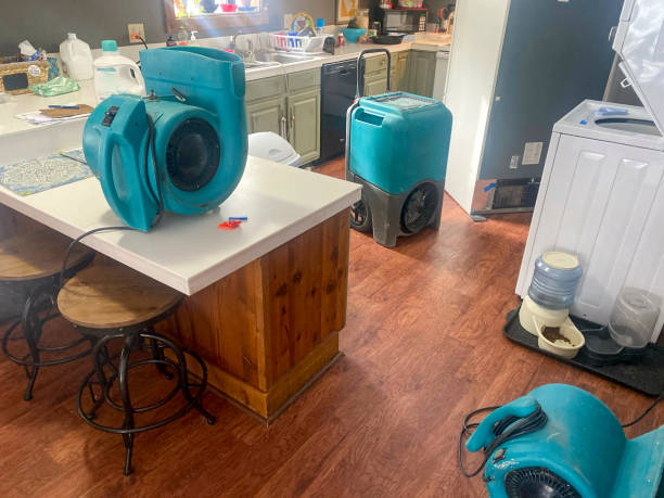 Best Water damage cleanup near me  in Beecher, IL