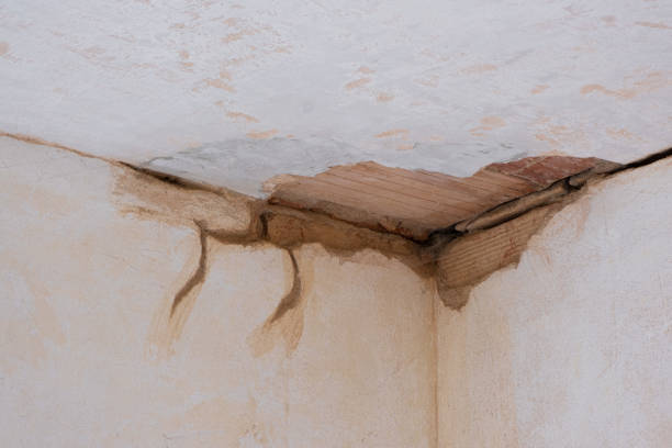 Best Water damage restoration near me  in Beecher, IL