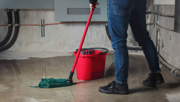 Best 24-hour water damage restoration  in Beecher, IL