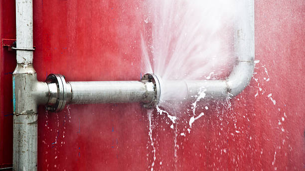 Best Emergency water damage restoration  in Beecher, IL